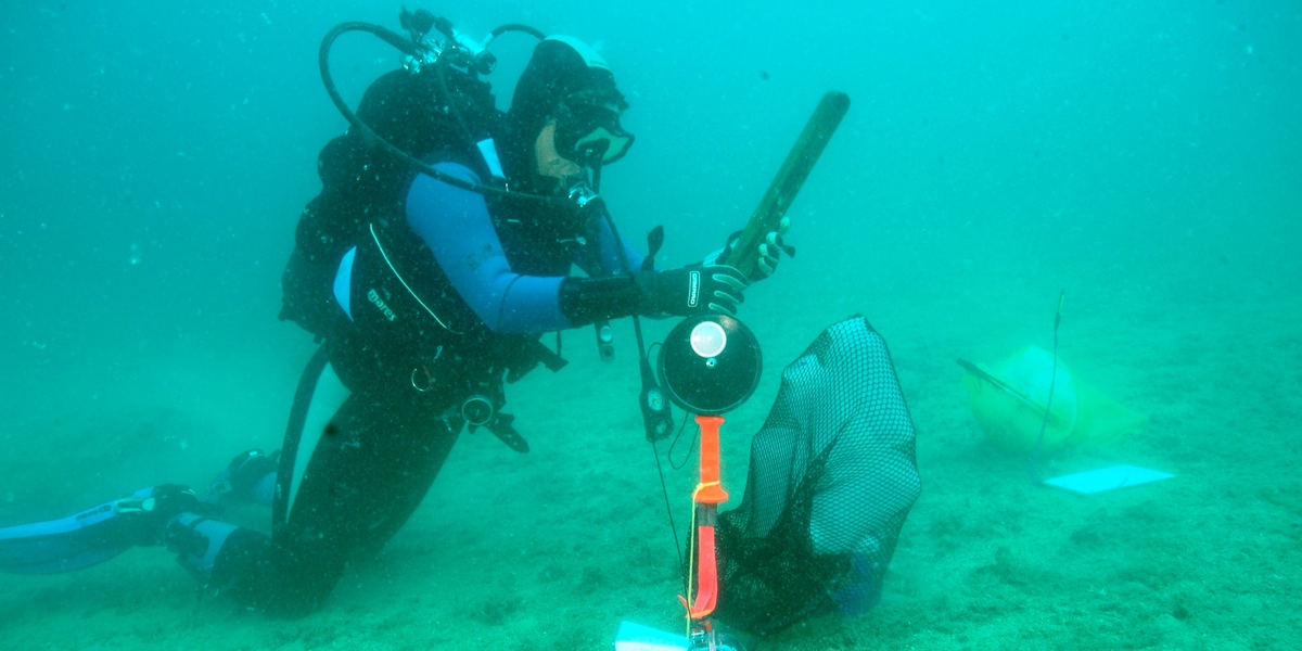 Milvana Arko Pijevac