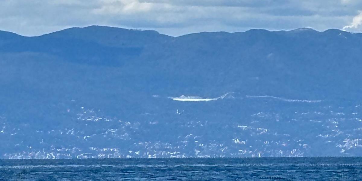 Pogled na Učku s Krka i rana u parku prirode