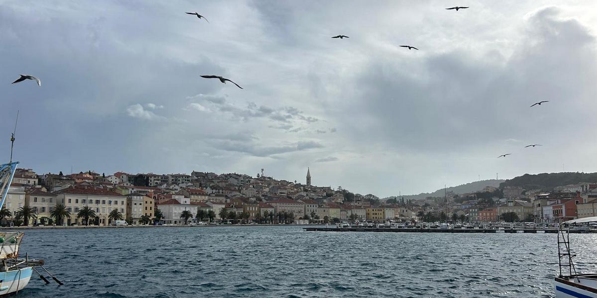 Mali Lošinj - galebovi - riva