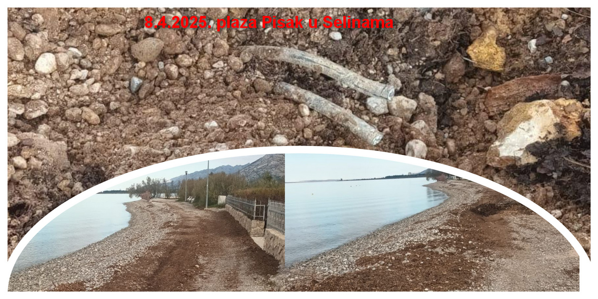 Seline-MixCollage-08-Apr-2025