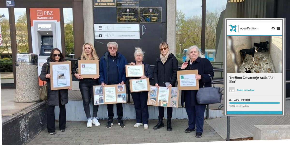 Stranka ''Pravda za životinje'' predaje peticiju 3.4.2026. Ministarstvu