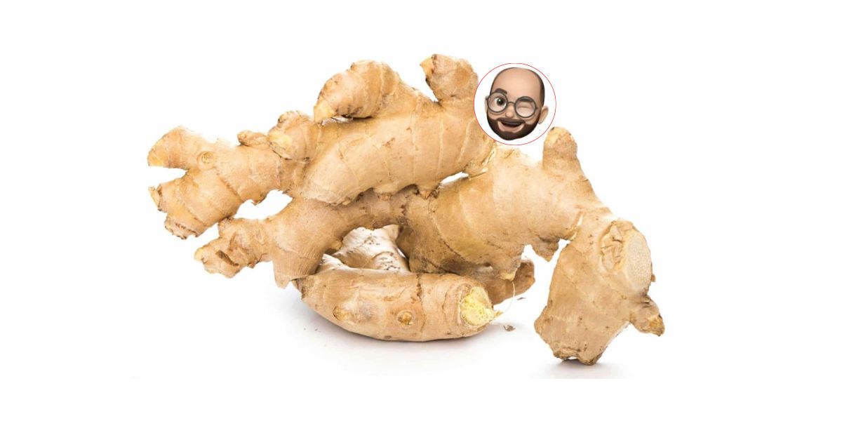 Spectator - Zaštićeni đumbir