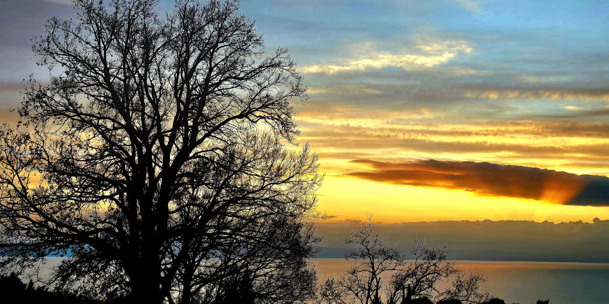  Čuvar Hvarskog kanala - Zlatko Lalić